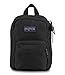JanSport JS0A32TT008 Lil' Break Pouch, Shady Grey /White