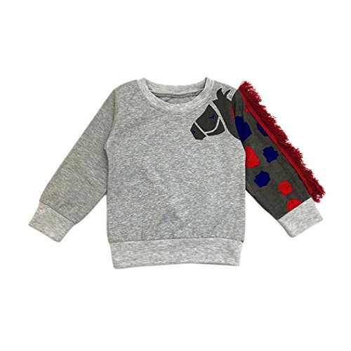 CSSD Toddler Baby Girls Cartoon Horse Tassel Decoration Sweatshirt Pullover T-Shirt Tops Outfits (3T, Gray)