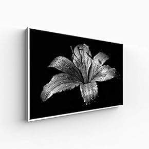 Canvas Wall Art for Living Room, Bedroom Monochrome Plants Framed Canvas Prints for Home Decoration Ready to Hang - 16x24 inches