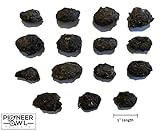 Small, Owl Pellets (Pack of 20)