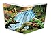1 X Extreme Book Sox - Jumbo Frogs