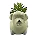 Cuteforyou Cute Animal Shaped Cartoon Home Decoration Succulent Vase Flower Pots