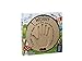 The Irish Fairy Door Company Interactive Worry Plaque