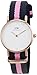 Daniel Wellington Women's 0906DW Winchester Stainless Steel Watch With Striped Nylon Band
