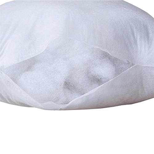 IZO Home Goods Lumbar Sham Stuffer Hypo-allergenic Poly Pillow Form Insert, 12" W x 20" L