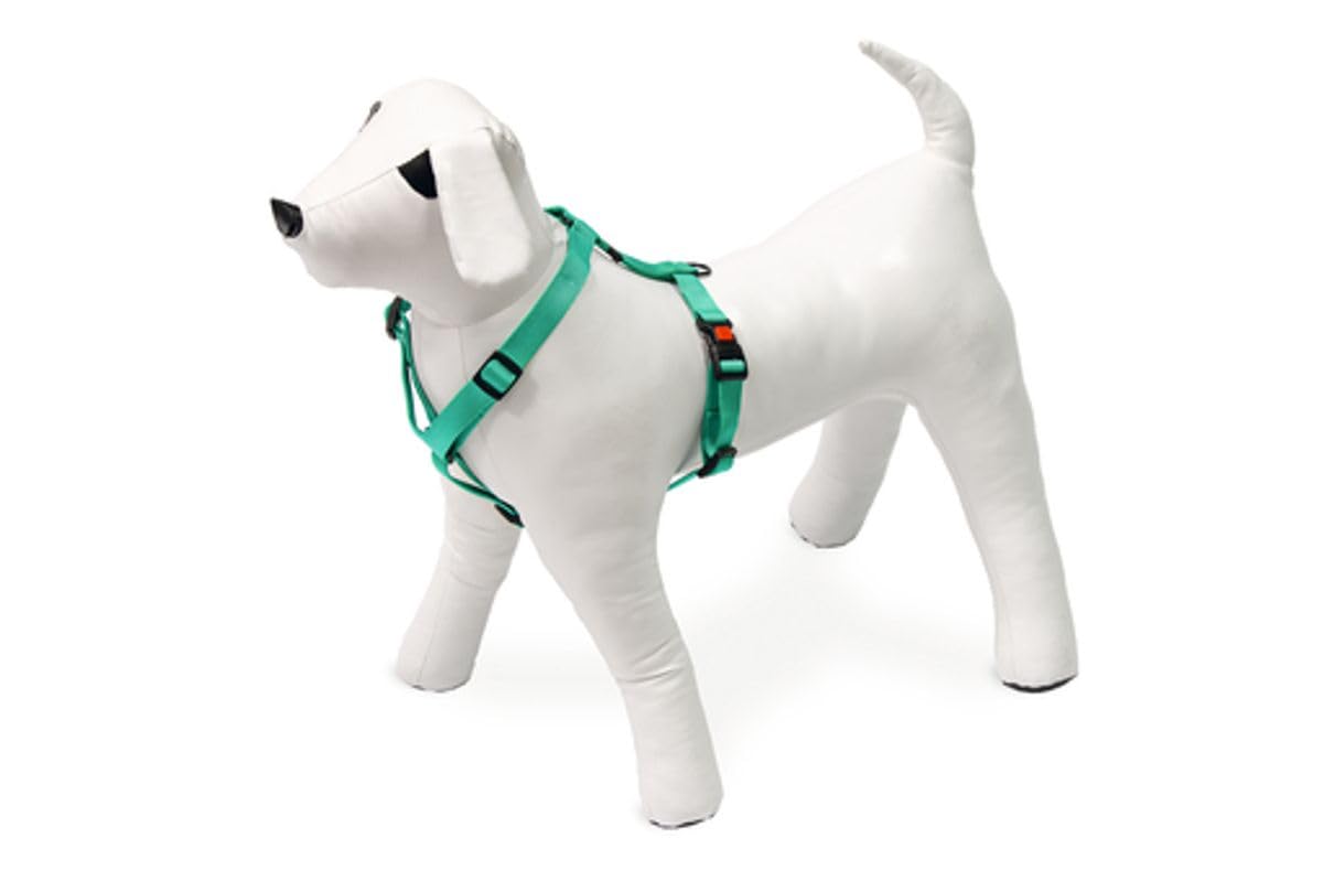 Karlie Art Sportiv Plus Harness Mix and Match Width 15 mm Width 35-50 cm Small Mint