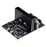 WONDOM 2 X 125W 8 Ohm Class D Audio Amplifier Board