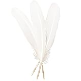 50pcs White Feathers 8~10 in,Beautiful Bulk Long