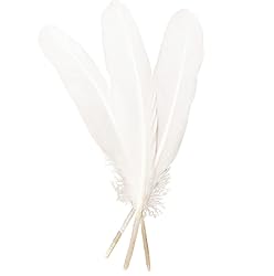 50pcs White Feathers 8~10 in,Beautiful Bulk Long