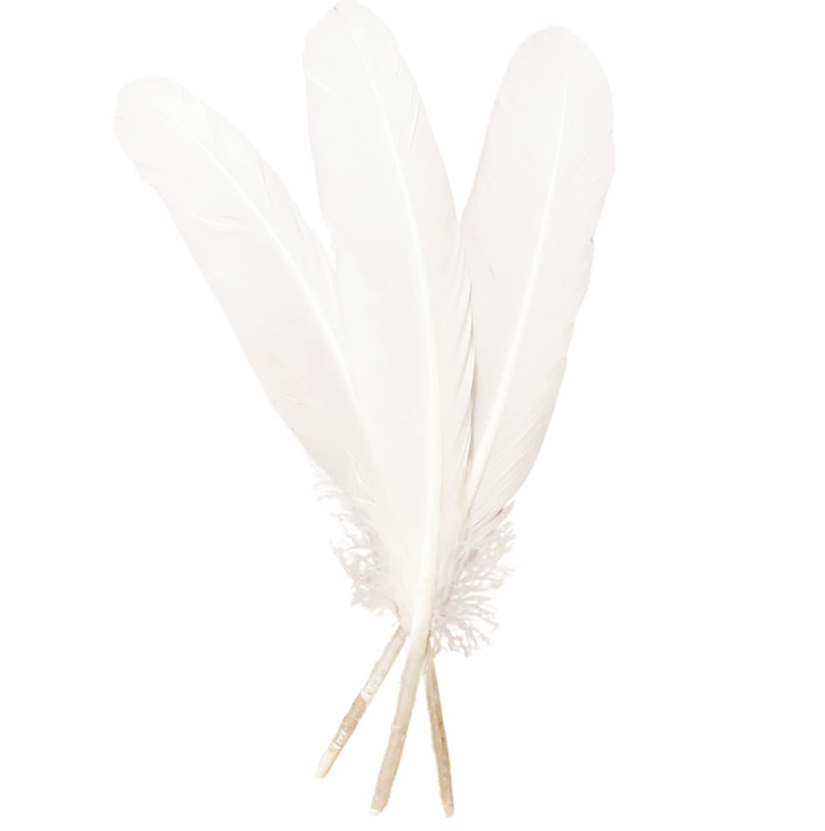 50pcs White Feathers 8~10 in,Beautiful Bulk Long