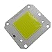 Nagulagu 50W COB LED Chip Cold White 10000K High Power led Light 12V-14V