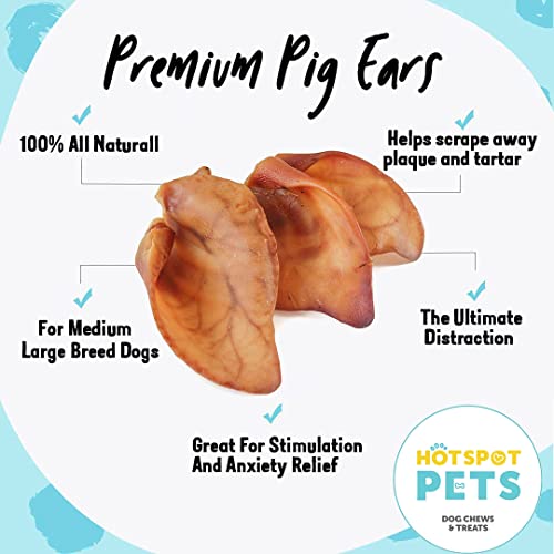 Premium Large Pig Ears Dog Treats All Natural Healthy Dog Pork Chews, Fully Digestible Single