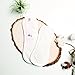 Hesta Organic Reusable Cloth Menstrual Pads (Environment-Friendly), PMS Relief Set of 3 (Regular, Wing Free/White)