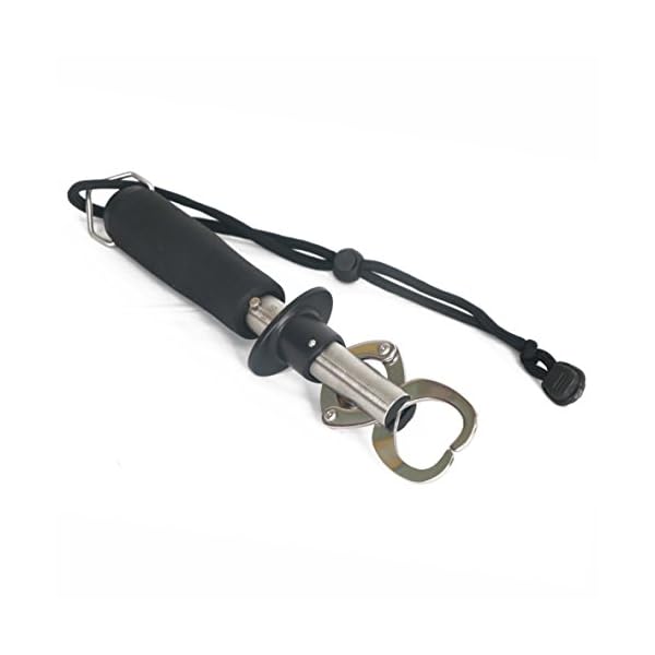 Entsport-Fish-Lip-Gripper-Fish-Scales-Professional-Fish-Holder-Stainless-Steel-Fish-Lip-Grabber-40-Pound-Fish-Lip-Grip-Tool-with-Weight-Scale