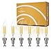 Dimmable E12 LED Candelabra Bulb Set - 4W, 40W Equivalent - 2700K Warm Light Vintage Style Candle Lightbulb for Chandelier, Ceiling Fan, Sconce, Desk Lamp or Porch Lights, Flame Tip (Pack of 6)