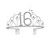Frcolor Crystal Rhinestone Birthday Crown Sweet 16 Birthday Tiara (Silver)