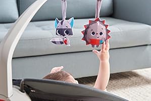 tiny love nature's way 2 in 1 bounce & sway