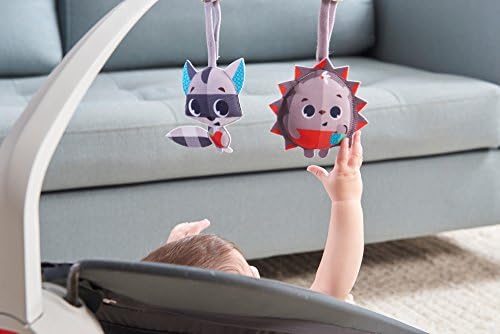 tiny love nature's way bouncer