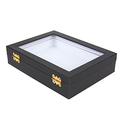 5 Insect+Display+Case+Window+Collecting
