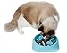Kuoser Professional Durable Dog Slow Feeder Slow Eating Pet Bowl Non-Toxic Preventing Choking Healthy Design Non-Skid Slow Feed Bowl for Small Cat Dog Pet,Pattern A Blue