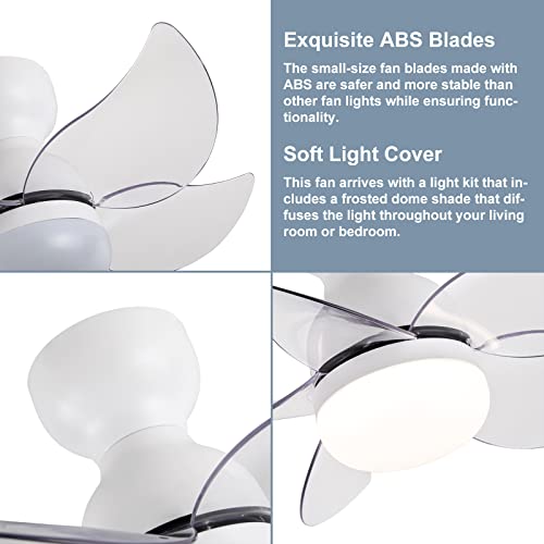 DIDER 24'' Flush Mount Ceiling Fan with Lights and Remote Control, 5