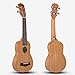 VIVICTORY Soprano Ukulele 21 Inch Mahogany Aquila String With Beginner Kit : Tuner, Gig Bag, Straps and Picks - Natural Color