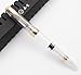 Wing Sung 618 Toso Piston Fountain Pen (Transparent with Golden Clip)