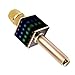 Wireless Bluetooth Karaoke Microphone H8 with LED Lights and Built in Bluetooth Speakers, 2600mAh Handheld Mic Machine for iPhone and Android - Home KTV Karaoke Singing (Gold)