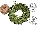 Green Leaf Trim Ribbon Vine, 150 ft Green Artificial Vine Ribbon with Leaves + 330 ft of Natural Jute Twine Packing String Ribbon - for Wedding Greek Garden Party Home Decorative Botanical Greenery