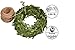 Green Leaf Trim Ribbon Vine, 150 ft Green Artificial Vine Ribbon with Leaves + 330 ft of Natural Jute Twine Packing String Ribbon - for Wedding Greek Garden Party Home Decorative Botanical Greenery
