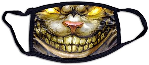 Evil Cat Outdoor 3D Printed Unisex Fashion Cotton Black Face Mask