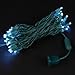 Novelty Lights 25ft 50 LED Pure White Christmas Lights Outdoor/Indoor, 6