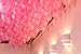 Eshanmu Pink Pearl Latex Balloon 100 pack 12 inch