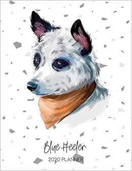 blue heeler pedigree