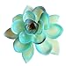 Fuyamp 5 Pcs Plastic Different Mini Fake Succulents Artificial Cactus Plants Color Random