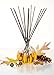 L&M Naturals Sweet Spiced Pumpkin Reed Diffuser in Decorative Pumpkin glass~ Great aromatherapy Pumpkin aroma that will fill your space with Fall fragrance~