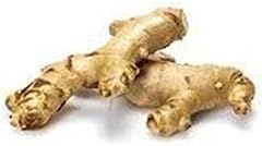 Produce Organic Ginger Root