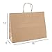 GSSUSA 16x6x12 Large Paper Bags with Handles 100Pcs, Gift Bags, Bag for Small Business Bulk, Brown Paper Shopping Bag for Boutique, Merchandise, Clothing, Grocery, Food Service Take Out