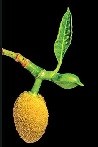 Jackfruit tree: Plain lined journal book for vegan lovers of this miracle fruit plant based meat alternative