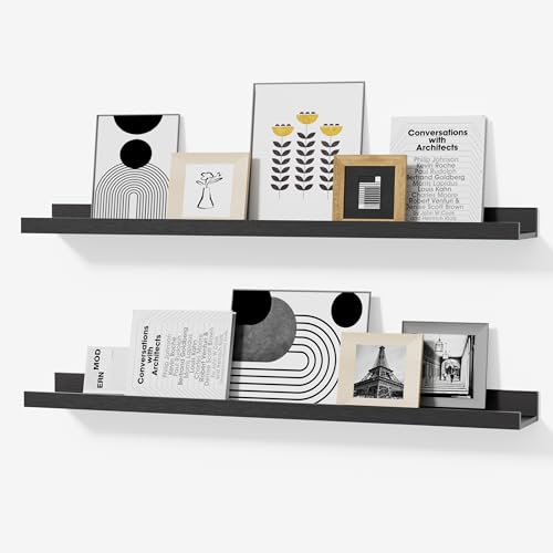 Modcraft Black Floating Shelves Lip