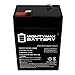 Mighty Max Battery ML4-6 - 6V 4.5AH SLA Battery Replaces cp0660 gp645 lcr6v4p hk-3fm4.5 wp4-6 - 2 Pack