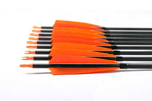 image for PG1ARCHERY 30 Inch Archery Hunting Target Arrows, Carbon Arrows 5