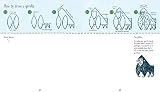 Usborne Step-by-Step Drawing Animals 1 Learn to Draw Activity Book view 4