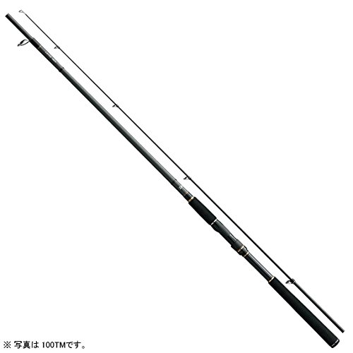 ダイワ(Daiwa) シーバスロッド スピニング ラテオ 100TM・Q 釣り竿の商品画像