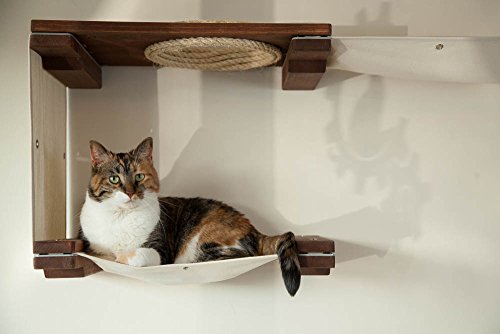 CatastrophiCreations Cat Mod Climb Track Handcrafted Wall mounted Cat Tree Shelves, English Chestnut/Natural, One Size