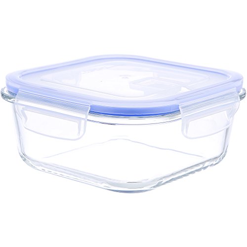 Kinetic Go Green Glassworks Elements Series 27-Ounce Square Food Storage Container with Vented Lid (1, 27oz)