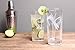 Rolf Glass Dragonfly Highball Glass 15 ounce - Set of 4 Cooler Glasses – Lead-Free Glass - Etched Drinking Glass with Heavy Base - Made in the USA