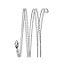 Bellabeat Leaf Nature Lunar Necklace, Silver