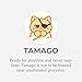 Hashtag Collectibles Purritos - Series 2 (Tamago)