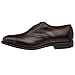 Allen Edmonds Men's Park Avenue Lace-Up,Dark Brown Burnished,8 D US